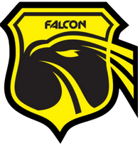 Falcon SyS Control